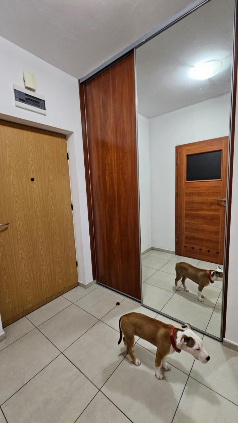 Apartament Lipinskiego คราคูฟ ภายนอก รูปภาพ