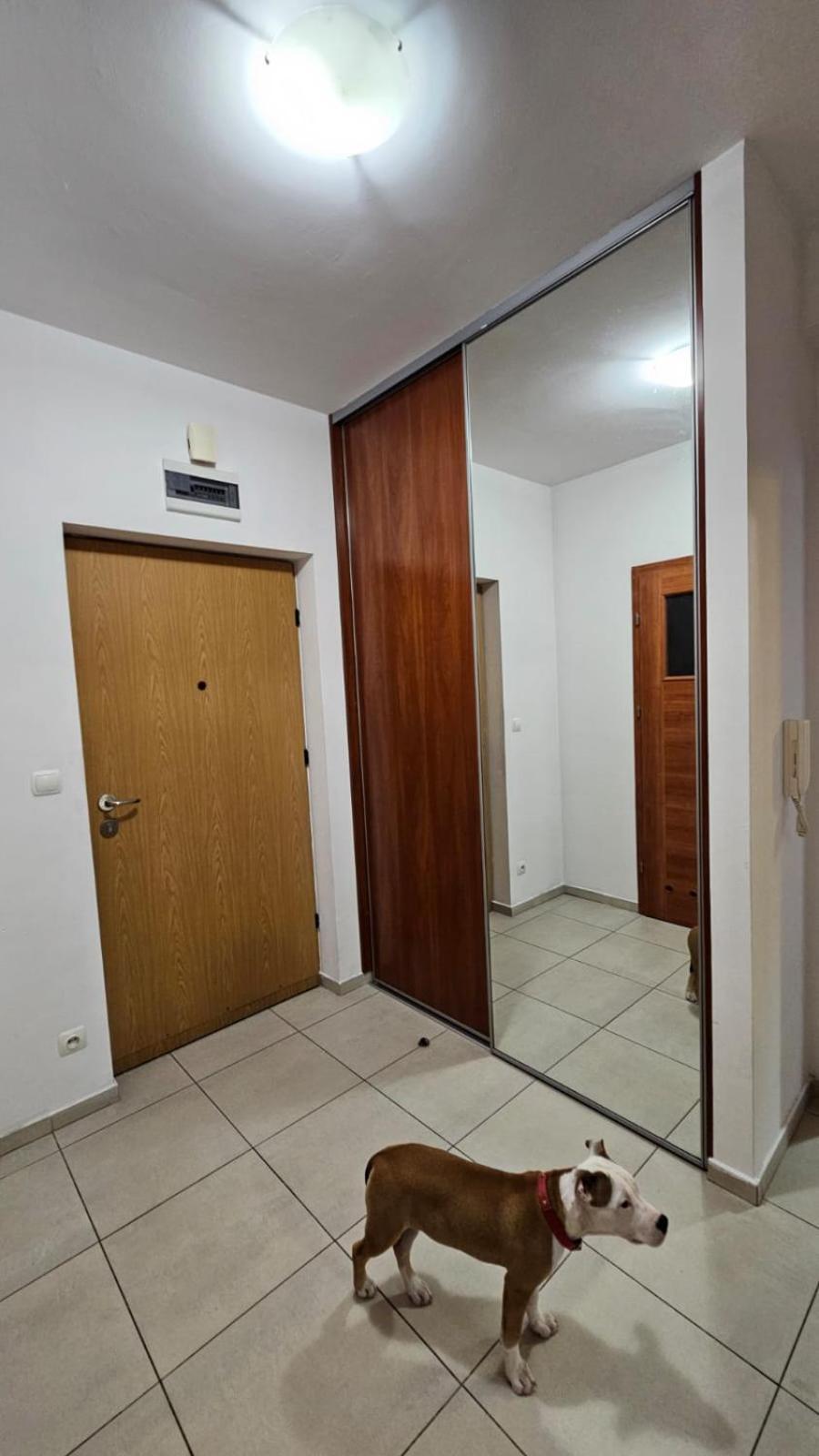 Apartament Lipinskiego คราคูฟ ภายนอก รูปภาพ