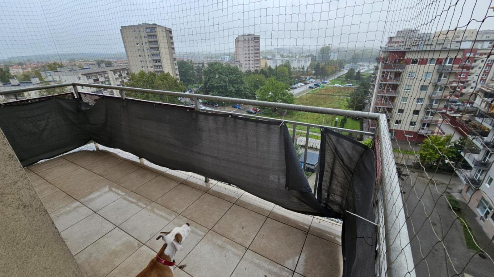 Apartament Lipinskiego คราคูฟ ภายนอก รูปภาพ